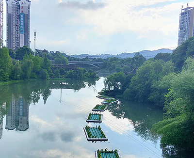 治理效果圖 治理效果圖