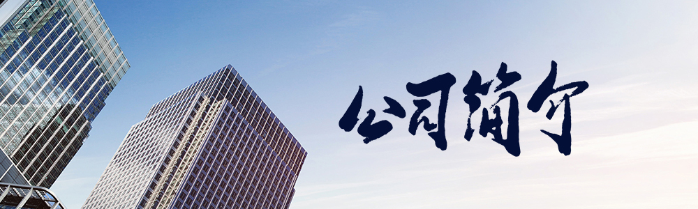 公司簡(jiǎn)介 公司簡(jiǎn)介